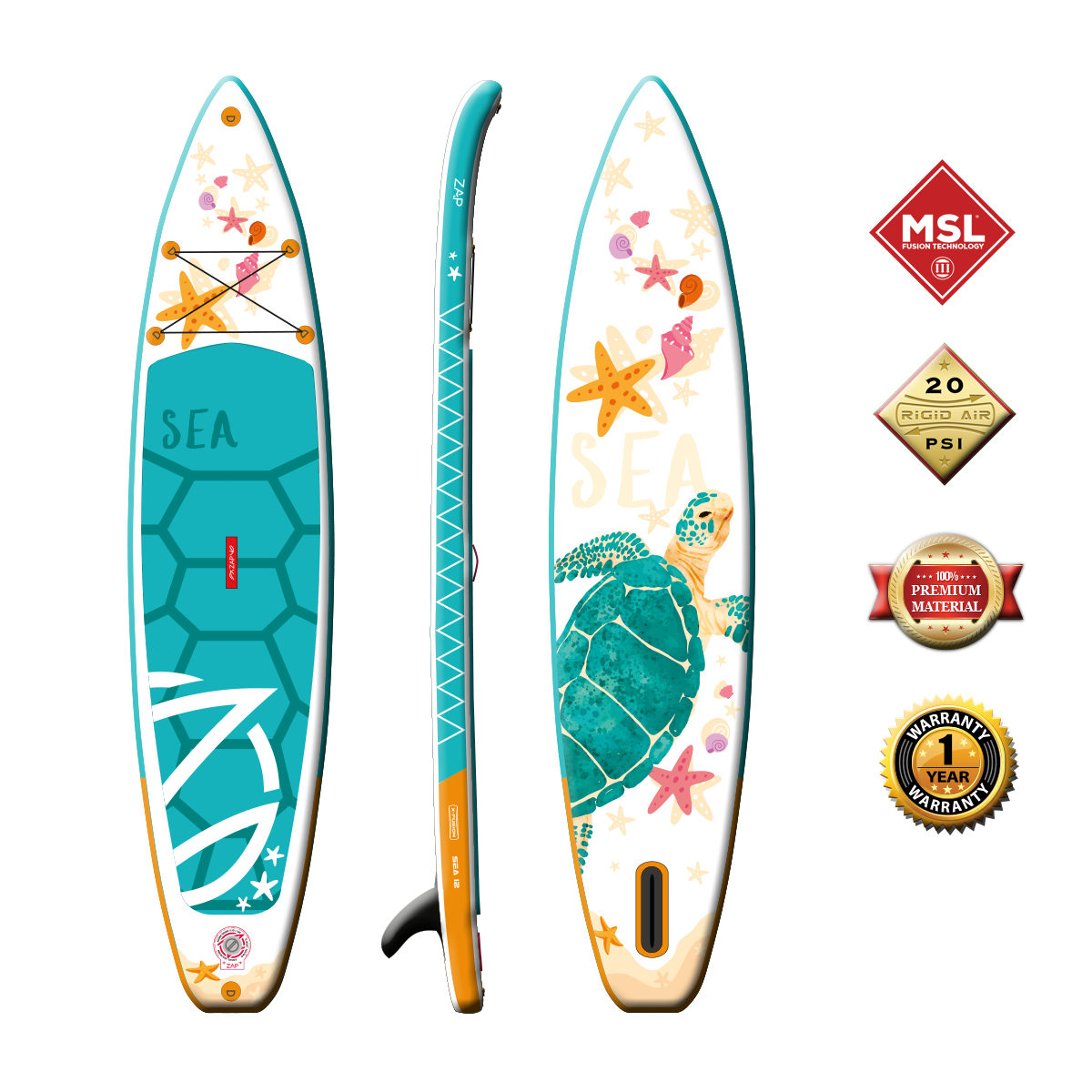 Sea Turtle 12 Fusion